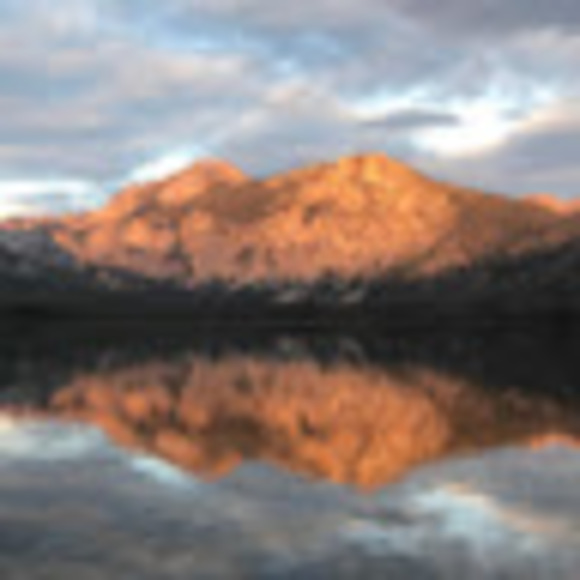 Meet your Posher, Tyler - Picture 1 of 1